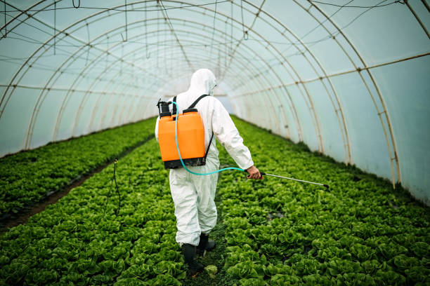Best Mosquito Control Services  in Allegan, MI