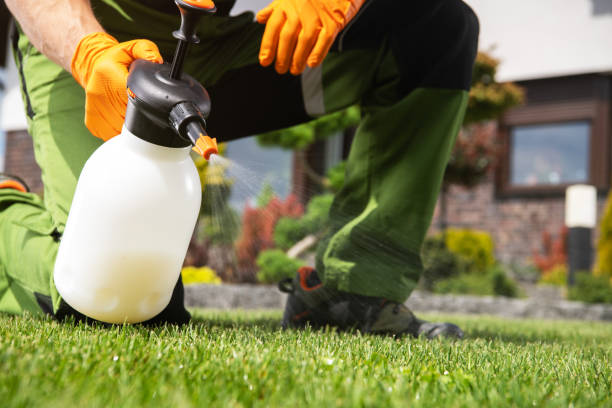 Best Pest Control for Restaurants  in Allegan, MI