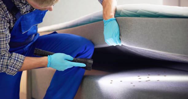 Best Pest Prevention Services  in Allegan, MI