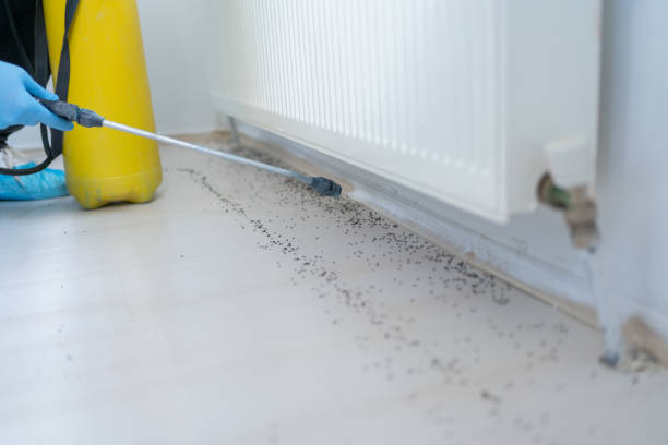 Best Bed Bug Extermination  in Allegan, MI