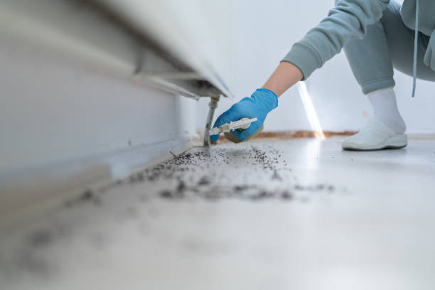 Best Wildlife Control Services  in Allegan, MI