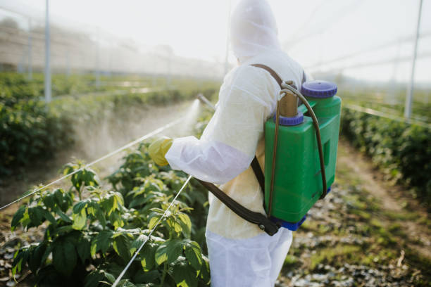 Best Local Pest Control Services  in Allegan, MI